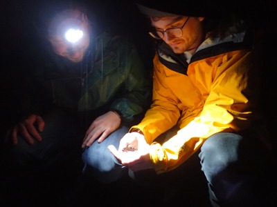 Salamander migrations with Ben Wyman and Kevin Duffy